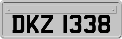DKZ1338