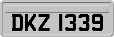 DKZ1339