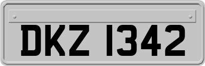 DKZ1342