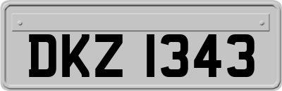 DKZ1343