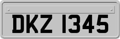 DKZ1345