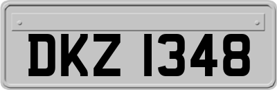 DKZ1348