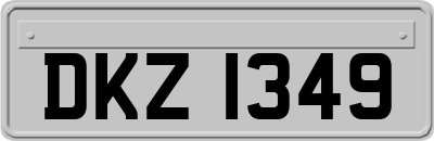 DKZ1349