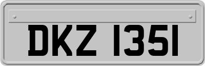 DKZ1351