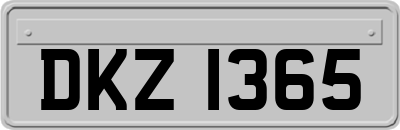 DKZ1365