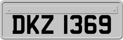 DKZ1369
