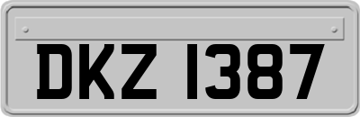 DKZ1387