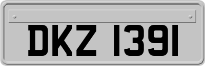DKZ1391