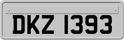 DKZ1393