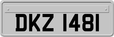 DKZ1481