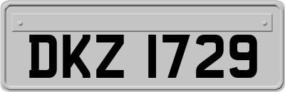 DKZ1729