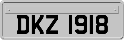 DKZ1918