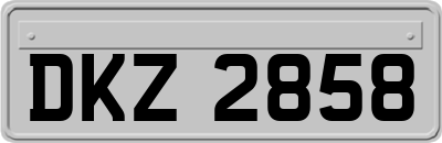 DKZ2858