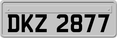 DKZ2877