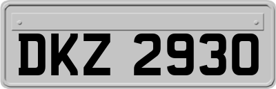 DKZ2930