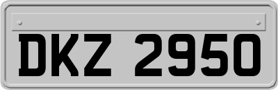 DKZ2950