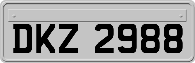 DKZ2988