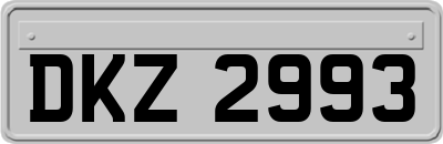 DKZ2993