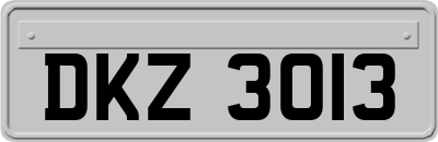 DKZ3013