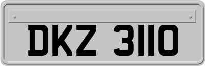 DKZ3110