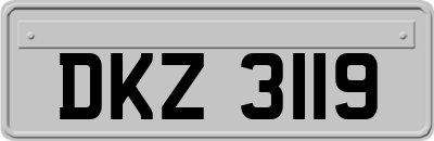 DKZ3119