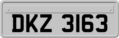 DKZ3163