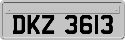DKZ3613