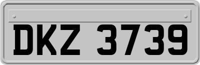 DKZ3739