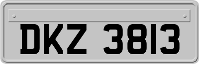DKZ3813