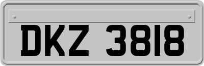 DKZ3818