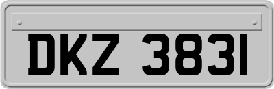 DKZ3831