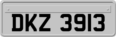 DKZ3913