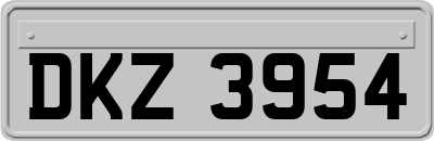 DKZ3954