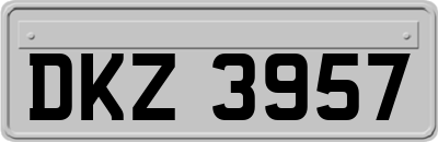 DKZ3957