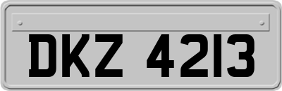 DKZ4213