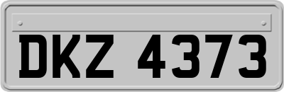 DKZ4373