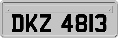 DKZ4813