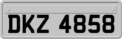 DKZ4858