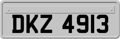 DKZ4913