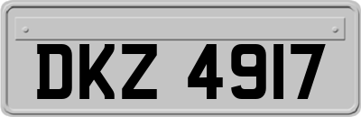 DKZ4917