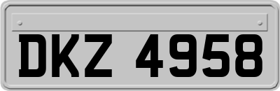 DKZ4958