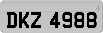 DKZ4988