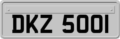 DKZ5001