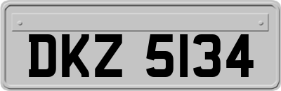 DKZ5134