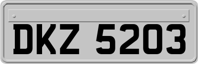 DKZ5203