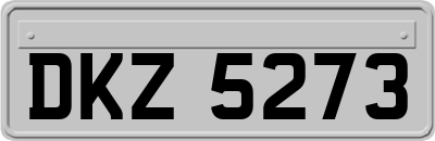 DKZ5273