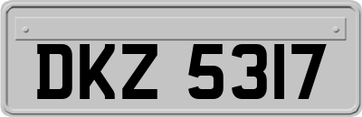 DKZ5317