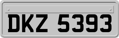 DKZ5393