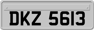 DKZ5613