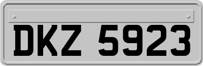 DKZ5923